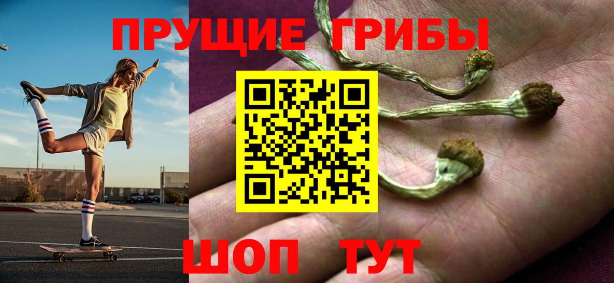 Псилоцибиновые грибы мухоморы Майский