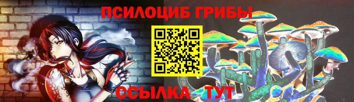 Галлюциногенные грибы Psilocybine cubensis  цены   Вход с VPN  Майский  Галлюциногенные грибы Cubensis 